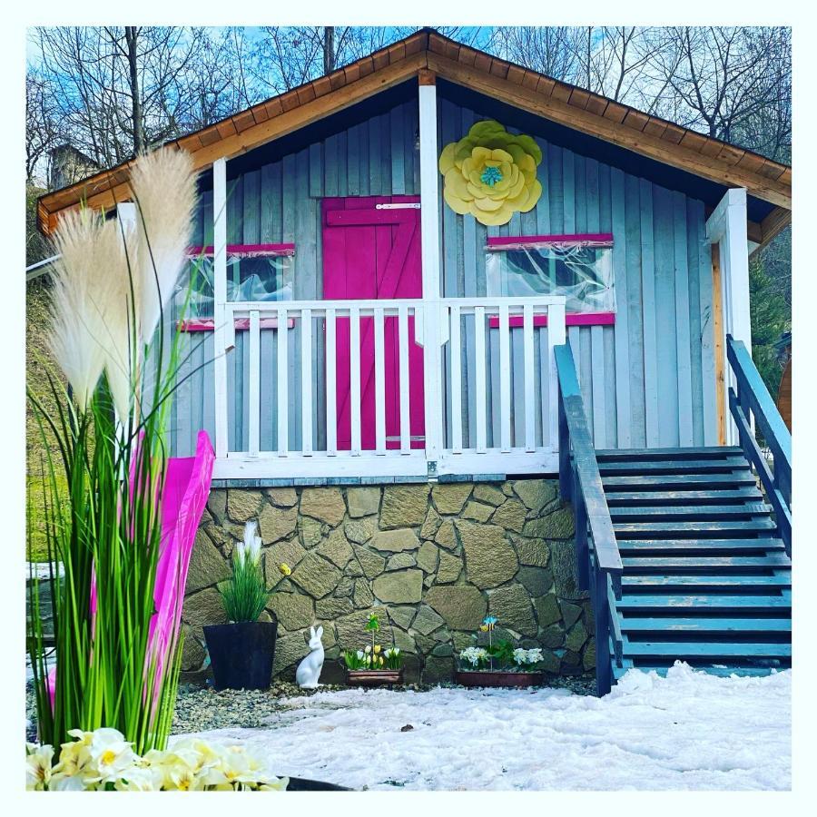 Montana Family Villa Văliug Exterior foto